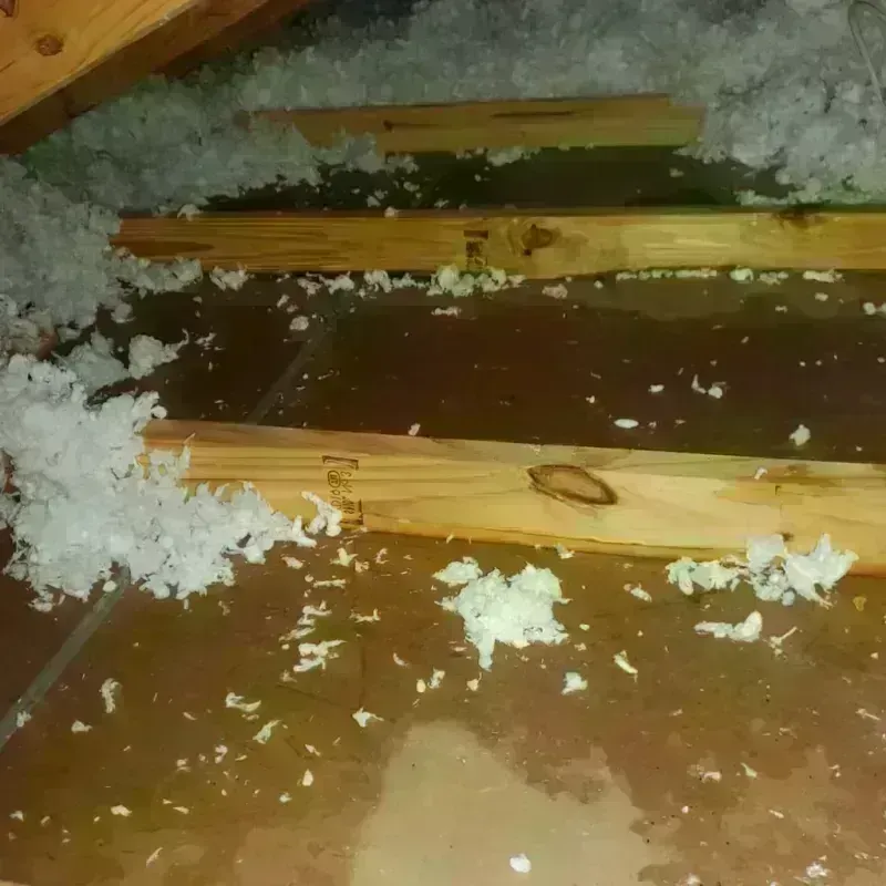 Attic Water Damage in Antwerp, OH