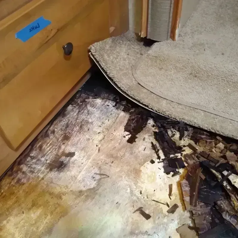 Best Wood Floor Water Damage Service in Antwerp, OH